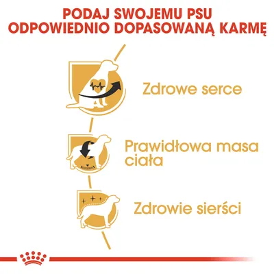 Podaj swojemu psu odpowiednio dopasowaną karmę. Zdrowe serce, prawidłowa masa ciała, zdrowie sierści – tekst i ikony psa z symbolami zdrowia.