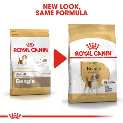 Royal Canin Beagle Adult
