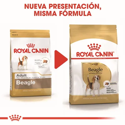 Cambio de envase de Royal Canin Adult Beagle. Texto visible: 'Nueva presentación, misma fórmula'. Se muestran dos bolsas con la imagen de un beagle y detalles del producto.