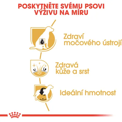 Text v češtine: Poskytněte svému psovi výživu na míru. Zdraví močového ústrojí, zdravá kůže a srst, ideální hmotnost.