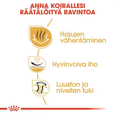 Anna koirallesi räätälöityä ravintoa: hajujen vähentäminen, hyvinvoiva iho, luuston ja nivelten tuki