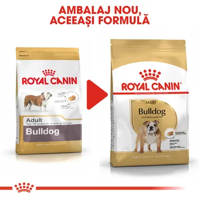 Ambalaj vechi și nou pentru Royal Canin Bulldog Adult, peste 12 luni. Text sus: Ambalaj nou, aceeași formulă. Imagine cu două pungi de hrană uscată pentru câini Bulldog.