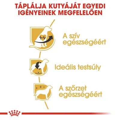 Táplálja kutyáját egyedi igényeinek megfelelően: A szív egészségéért, Ideális testsúly, A szőrzet egészségéért