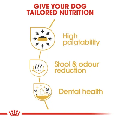 Κείμενο στα αγγλικά: GIVE YOUR DOG TAILORED NUTRITION, High palatability, Stool & odour reduction, Dental health. Εικόνες σχετικές με γεύση, οσμή και δόντια σκύλου.
