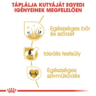Táplálja kutyáját egyedi igényeinek megfelelően. Egészséges bőr és szőrzet, ideális testsúly, egészséges szívműködés.