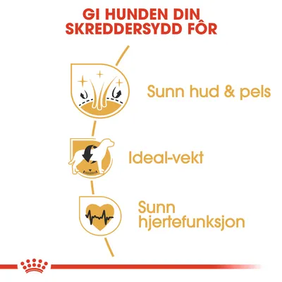 Royal Canin Cocker Adult