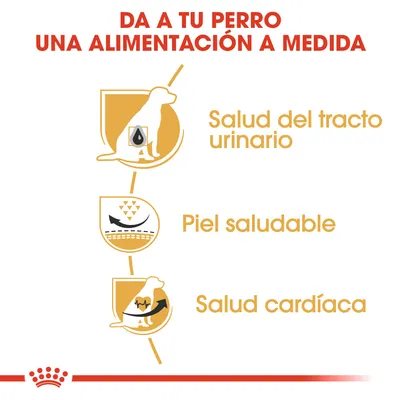 Da a tu perro una alimentación a medida. Salud del tracto urinario, piel saludable, salud cardíaca.