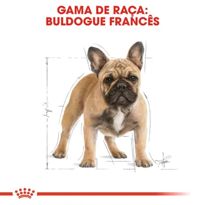 Gama de raça: Buldogue Francês. Ilustração de um cão com linhas de medidas ao fundo, marca Royal Canin visível na parte inferior.