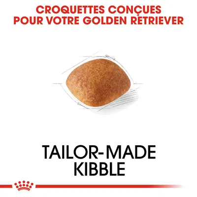 Texte : Croquettes conçues pour votre Golden Retriever. Tailor-made kibble. Image d’une croquette individuelle. Texte partiellement en anglais, non traduit.