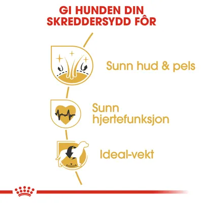 Royal Canin Golden Retriever Adult