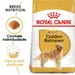Royal Canin Golden Retriever Adult