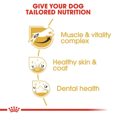 Teksti: GIVE YOUR DOG TAILORED NUTRITION. Muscle & vitality complex, Healthy skin & coat, Dental health. Kuvakkeet koirasta, karvasta ja hampaasta.
