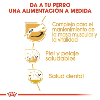 Da a tu perro una alimentación a medida. Complejo para el mantenimiento de la masa muscular y la vitalidad, piel y pelaje saludables, salud dental.
