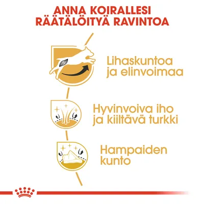 ANNA KOIRALLESI RÄÄTÄLÖITYÄ RAVINTOA. Lihaskuntoa ja elinvoimaa, hyvinvoiva iho ja kiiltävä turkki, hampaiden kunto.
