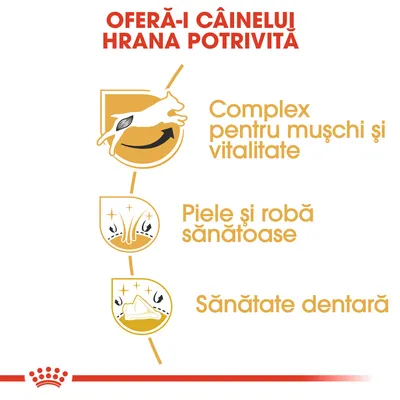 OFERĂ-I CÂINELUI HRANA POTRIVITĂ. Complex pentru mușchi și vitalitate, piele și robă sănătoase, sănătate dentară.