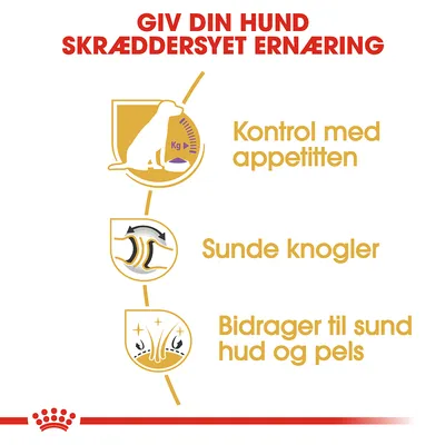 Giv din hund skræddersyet ernæring. Kontrol med appetitten, sunde knogler, bidrager til sund hud og pels. Grafiske ikoner for hver egenskab.