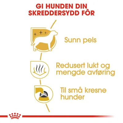 Royal Canin Maltese Adult