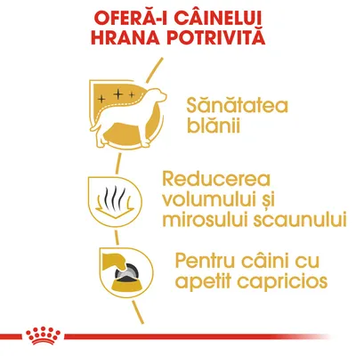OFERĂ-I CÂINELUI HRANA POTRIVITĂ. Sănătatea blănii. Reducerea volumului și mirosului scaunului. Pentru câini cu apetit capricios.