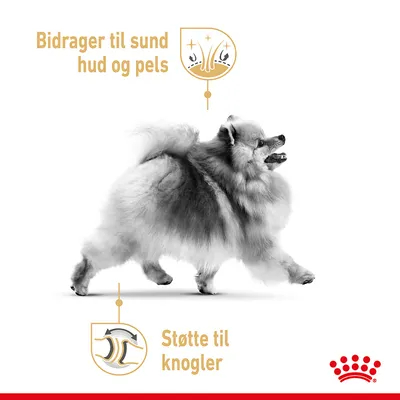 Bidrager til sund hud og pels. Støtte til knogler. Billede af hund med Royal Canin krone nederst til højre.