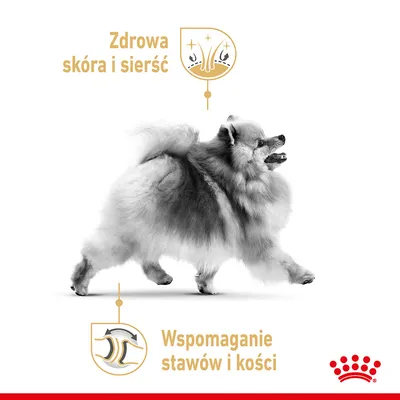 Zdrowa skóra i sierść. Wspomaganie stawów i kości. Pies rasy szpic na białym tle, logo Royal Canin w prawym dolnym rogu.