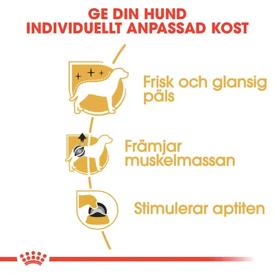Ge din hund individuellt anpassad kost. Frisk och glansig päls. Främjar muskelmassan. Stimulerar aptiten.