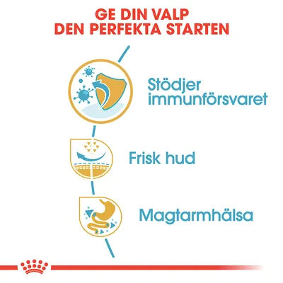 Text: Ge din valp den perfekta starten. Stödjer immunförsvaret, Frisk hud, Magtarmhälsa. Tre symboler bredvid respektive text.