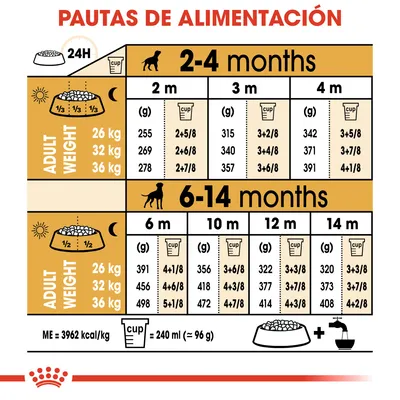 Tabla de pautas de alimentación para perros según peso adulto (26, 32, 36 kg) y edad (2–14 meses), con cantidades en gramos y tazas. Incluye símbolo de agua y equivalencia taza=240 ml≈96 g.
