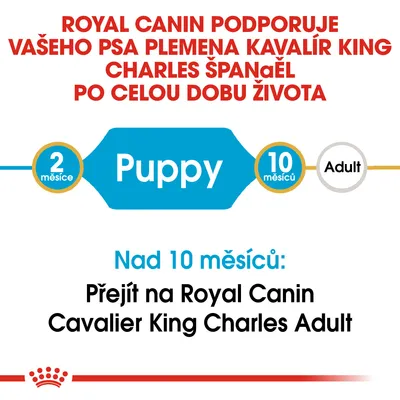 Royal Canin podporuje psa plemene Kavalír King Charles Španěl po celý život. Od 2 do 10 měsíců Puppy, nad 10 měsíců přejít na Royal Canin Cavalier King Charles Adult.