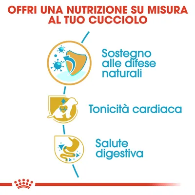 Offri una nutrizione su misura al tuo cucciolo: sostegno alle difese naturali, tonicità cardiaca, salute digestiva. Offri una nutrizione su misura al tuo cucciolo: sostegno alle difese naturali, tonicità cardiaca, salute digestiva.