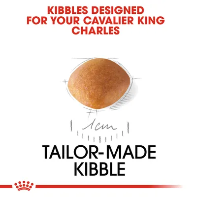 Kibble designed for Cavalier King Charles, showing a single piece with 1cm size measurement and the text 'tailor-made kibble'.