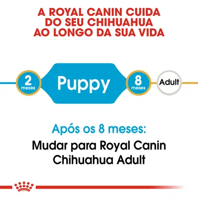 A Royal Canin cuida do seu chihuahua ao longo da vida. Puppy dos 2 aos 8 meses. Após os 8 meses: mudar para Royal Canin Chihuahua Adult.