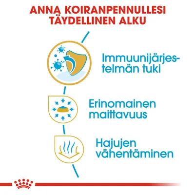Anna koiranpennullesi täydellinen alku. Immuunijärjestelmän tuki, erinomainen maittavuus, hajujen vähentäminen.