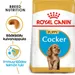 Royal Canin Cocker Puppy
