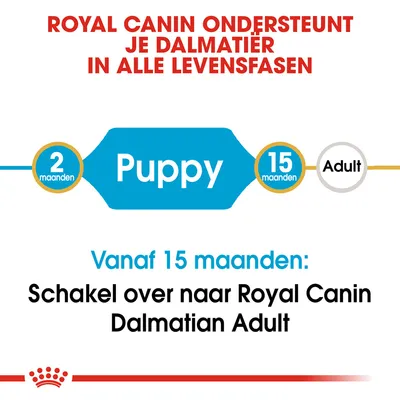 Royal Canin ondersteunt je Dalmatiër in alle levensfasen. Puppy: 2–15 maanden. Vanaf 15 maanden: schakel over naar Royal Canin Dalmatian Adult.