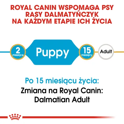 Royal Canin wspomaga psy rasy dalmatyńczyk na każdym etapie życia. Po 15 miesiącu życia: zmiana na Royal Canin Dalmatian Adult. Puppy od 2 do 15 miesięcy.