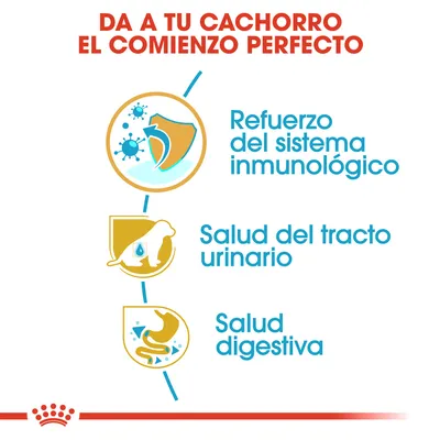 Da a tu cachorro el comienzo perfecto. Refuerzo del sistema inmunológico, salud del tracto urinario y salud digestiva.