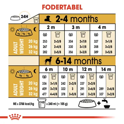 Fodertabel for hunde: daglig mængde i gram og kopper for 2–4 og 6–14 måneder, opdelt efter voksenvægt 20, 26, 32 kg. 1 kop = 240 ml (ca. 105 g). ME = 3788 kcal/kg.
