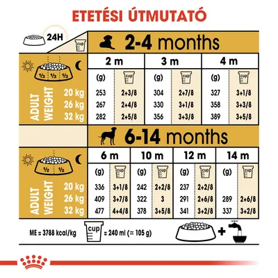 Etetési útmutató kölyökkutyáknak: 2–4 és 6–14 hónapos korban, felnőtt súly (20, 26, 32 kg) szerint gramm és csésze adagolással. 1 csésze = 240 ml ≈ 105 g.