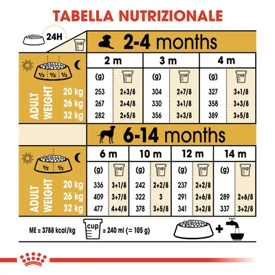Tabella nutrizionale per cani: dosi giornaliere in grammi e cup per peso adulto 20, 26, 32 kg da 2 a 14 mesi. Include divisione pasti, volume cup (240 ml ≈ 105 g) e valore energetico 3788 kcal/kg.