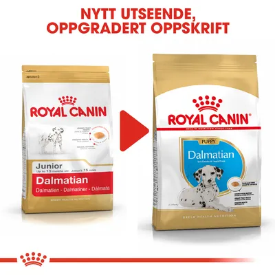 Royal Canin Dalmatian Puppy