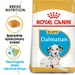 Royal Canin Dalmatian Puppy