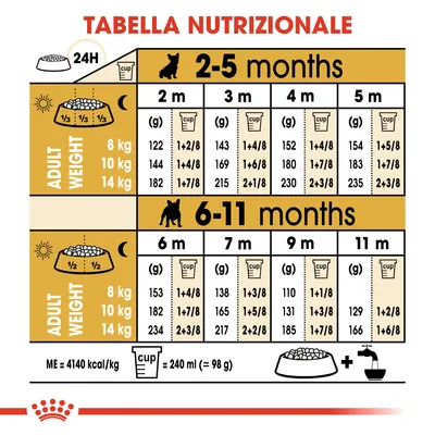 Tabella nutrizionale per cuccioli: dosi giornaliere in grammi e cup per peso adulto (8, 10, 14 kg) da 2 a 11 mesi. 1 cup = 240 ml ≈ 98 g. ME = 4140 kcal/kg.