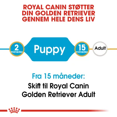 ROYAL CANIN STØTTER DIN GOLDEN RETRIEVER GENNEM HELE DENS LIV. Puppy 2 måneder–15 måneder. Fra 15 måneder: Skift til Royal Canin Golden Retriever Adult.