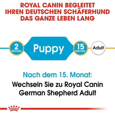 Royal Canin begleitet Ihren Deutschen Schäferhund das ganze Leben lang. Nach dem 15. Monat: Wechseln Sie zu Royal Canin German Shepherd Adult.
