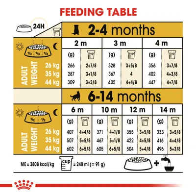 Feeding table for dogs by adult weight: 26 kg, 35 kg, 44 kg. Amounts in grams and cups for ages 2–4 months and 6–14 months. 1 cup = 240 ml (≈91 g). ME = 3808 kcal/kg.