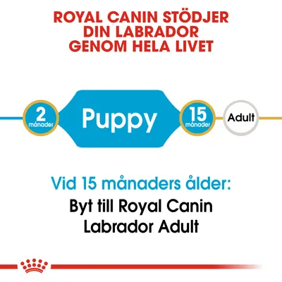 Royal Canin stöder din labrador genom hela livet. Puppy från 2 till 15 månader, byt vid 15 månaders ålder till Royal Canin Labrador Adult.