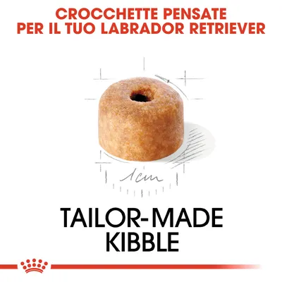 Crocchetta con foro centrale, diametro 1 cm. Testo visibile: Crocchette pensate per il tuo Labrador Retriever. Tailor-made kibble.