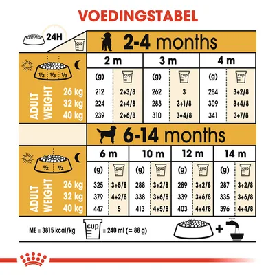 Voedingstabel voor honden: dagelijkse hoeveelheid voer in grammen en cups per leeftijd (2–14 maanden) en volwassen gewicht (26, 32, 40 kg). 1 cup = 240 ml (≈88 g), ME=3815 kcal/kg.