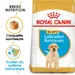 Royal Canin Labrador Retriever Puppy pour chiot