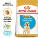 Royal Canin Labrador Retriever Puppy